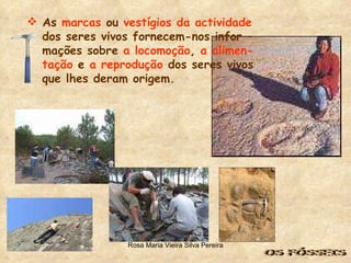 As  marcas  ou  vestígios da actividade dos seres vivos fornecem-nos infor – mações sobre  a locomoção ,  a alimen- tação  e  a reprodução  dos seres vivos que lhes deram origem.  OS FÓSSEIS 