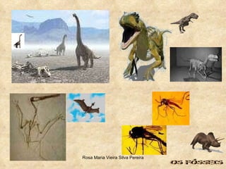 OS FÓSSEIS 