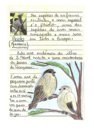 Rota postal da biodiversidade