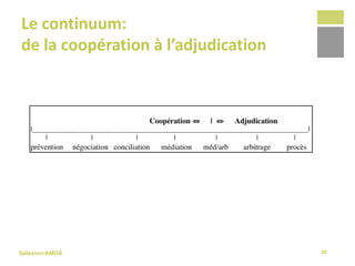 Sélexion/AMDA
Le continuum:
de la coopération à l’adjudication
20
 