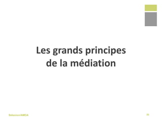 Sélexion/AMDA
Les grands principes
de la médiation
35
 