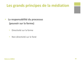 Sélexion/AMDA
Les grands principes de la médiation
40
• La responsabilité du processus
(pouvoir sur la forme)
• Directivité sur la forme
• Non-directivité sur le fond
 