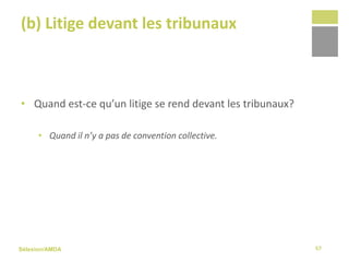Sélexion/AMDA
(b) Litige devant les tribunaux
• Quand est-ce qu’un litige se rend devant les tribunaux?
• Quand il n’y a pas de convention collective.
57
 
