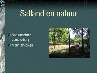 Powerpoint Salland 3,1