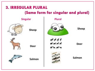Sheep 
Deer 
Salmon 
Sheep 
Deer 
Salmon 
Singular Plural 
 