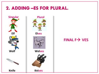 Singular Plural 
Elf 
Wolf 
Knife 
Elves 
Wolves 
Knives 
FINAL F VES 
 