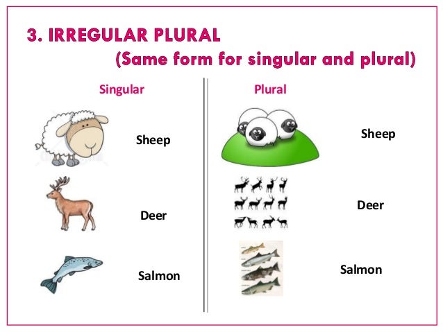 NB1 - Singular and plural