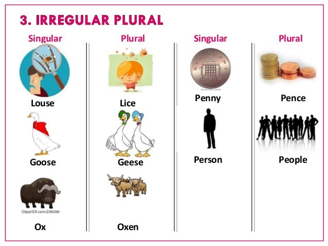 Singular Plural Singular Plural