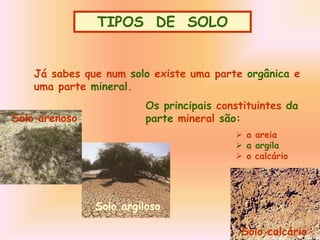 Já sabes que num solo existe uma parte orgânica e
uma parte mineral.
Os principais constituintes da
parte mineral são:
 a areia
 a argila
 o calcário
Solo arenoso
Solo argiloso
Solo calcário
TIPOS DE SOLO
TIPOS DE SOLO
 