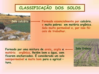 CLASSIFICAÇÃO DOS SOLOS
Solo calcário Formado essencialmente por calcário,
e muito pobres em matéria orgânica.
Solo muito permeável e, por isso fá–
ceis de trabalhar.
Solo franco
Formado por uma mistura de areia, argila e
matéria orgânica. Retém bem a água, sem
ficarem encharcados. É considerado um solo
semipermeável e muito bom para a agricul –
tura.
 