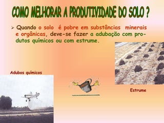  Quando o solo é pobre em substâncias minerais
e orgânicas, deve-se fazer a adubação com pro-
dutos químicos ou com estrume.
Adubos químicos
Estrume
 