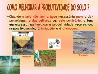 Quando o solo não tem a água necessária para o de-
senvolvimento das culturas ou, pelo contrário, a tem
em excesso, melhora-se a produtividade recorrendo,
respectivamente, à irrigação e à drenagem.
Irrigação
Drenagem
 