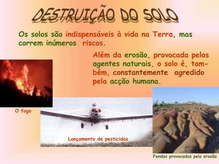 Os solos são indispensáveis à vida na Terra, mas
correm inúmeros riscos.
Além da erosão, provocada pelos
agentes naturais, o solo é, tam-
bém, constantemente agredido
pela acção humana.
Fendas provocadas pela erosão
O fogo
Lançamento de pesticidas
 