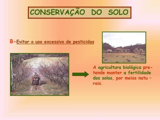 CONSERVAÇÃO DO SOLO
B-Evitar o uso excessivo de pesticidas
A agricultura biológica pre-
tende manter a fertilidade
dos solos, por meios natu –
rais.
 