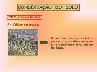 CONSERVAÇÃO DO SOLO
EVITAR A EROSÃO DO SOLO
A- Cultivar em socalcos
Os socalcos são degraus feitos
nas encostas e evitam que o so-
lo seja facilmente arrastado pe–
las águas.
 