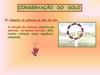 CONSERVAÇÃO DO SOLO
A rotação de culturas consiste em
alternar, no mesmo terreno, dife-
rentes culturas numa sequência
adequada.
D-Adaptar as culturas ao tipo de solo
 