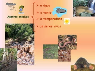 Agentes erosivos
 a água
 o vento
 a temperatura
 os seres vivos
 