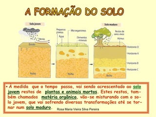 Rosa Maria Vieira Silva Pereira
 À medida que o tempo passa, vai sendo acrescentado ao solo
jovem restos de plantas e animais mortos. Estes restos, tam-
bém chamados matéria orgânica, vão-se misturando com o so-
lo jovem, que vai sofrendo diversas transformações até se tor-
nar num solo maduro.
 
