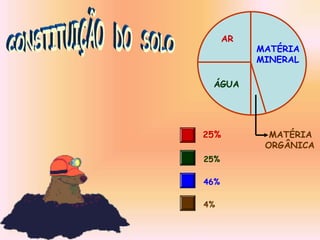 AR
ÁGUA
MATÉRIA
MINERAL
MATÉRIA
ORGÂNICA
25%
25%
46%
4%
 