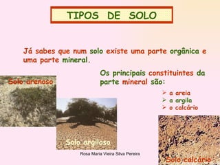 TIPOS  DE  SOLO Já sabes que num  solo  existe uma parte  orgânica  e uma parte  mineral . Os principais   constituintes  da parte  mineral  são: a areia a argila o calcário Solo arenoso Solo argiloso Solo calcário TIPOS  DE  SOLO 