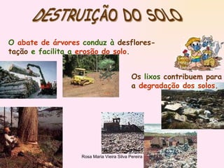 DESTRUIÇÃO DO SOLO O  abate de árvores  conduz à  desflores- tação  e facilita a  erosão do solo . Os  lixos  contribuem para a  degradação dos solos . 
