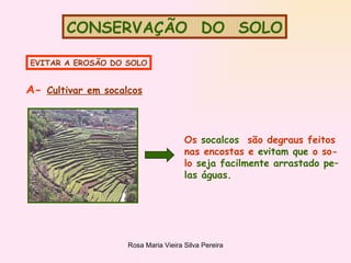 CONSERVAÇÃO  DO  SOLO EVITAR A EROSÃO DO SOLO A-  Cultivar em socalcos Os  socalcos  são degraus feitos nas encostas e  evitam que  o so- lo  seja facilmente arrastado pe– las águas. 