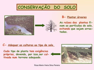 CONSERVAÇÃO  DO  SOLO B-  Plantar árvores   As  raízes das  plantas  fi- xam as partículas do solo, evitando  que sejam arras- tadas. C-  Adequar as culturas ao tipo de solo   Cada  tipo de planta  tem exigências próprias,  devendo, por isso,ser  cul- tivada num  terreno adequado . 