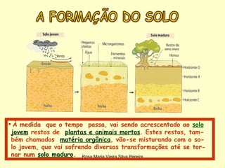 A FORMAÇÃO DO SOLO À medida  que o tempo  passa, vai sendo acrescentado ao  solo jovem  restos de  plantas e animais mortos . Estes restos, tam- bém chamados  matéria orgânica , vão-se misturando com o so- lo jovem, que vai sofrendo diversas transformações até se tor- nar num  solo maduro .  