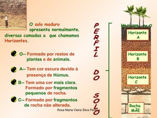 PERFIL  DO  SOLO Rocha  MÃE Horizonte C  Horizonte B  Horizonte A Ho  ri zon te O  O  solo maduro   apresenta normalmente ,   diversas camadas a  que chamamos Horizontes . A--  Tem cor escura devido à presença de  Húmus .   O--  Formado por restos de plantas  e de  animais .   B--  Tem uma cor  mais clara . Formado por  fragmentos pequenos  de rocha. C--  Formado por  fragmentos de  rocha não alterada .  