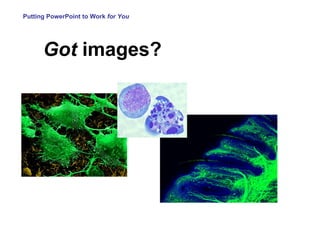 Putting PowerPoint to Work  for You Got  images? 