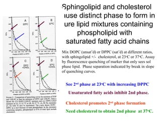 Sphingolipid and cholesterol cause distinct phase to form in pure lipid mixtures containing phospholipid with   saturated fatty acid chains Mix DOPC (unsat’d) or DPPC (sat’d) at different ratios, with sphingolipid +/-  cholesterol, at 23 o C or 37 o C. Assay by fluorescence quenching of marker that only sees sol phase lipid.  Phase separation indicated by break in slope of quenching curves.  Unsaturated fatty acids inhibit 2nd phase. See 2 nd  phase at 23 o C with increasing DPPC .  Need cholesterol to obtain 2nd phase  at 37 o C. Cholesterol promotes 2 nd  phase formation  