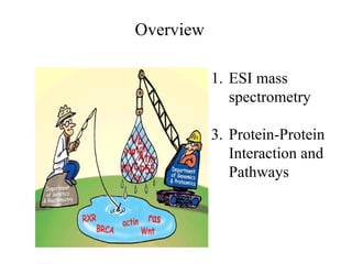Overview ESI mass spectrometry Protein-Protein Interaction and Pathways 