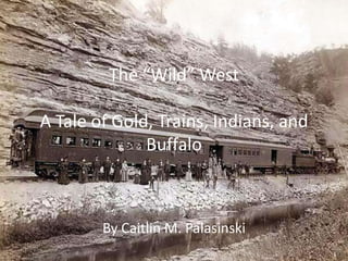 The “Wild” West

A Tale of Gold, Trains, Indians, and
              Buffalo



        By Caitlin M. Palasinski
 