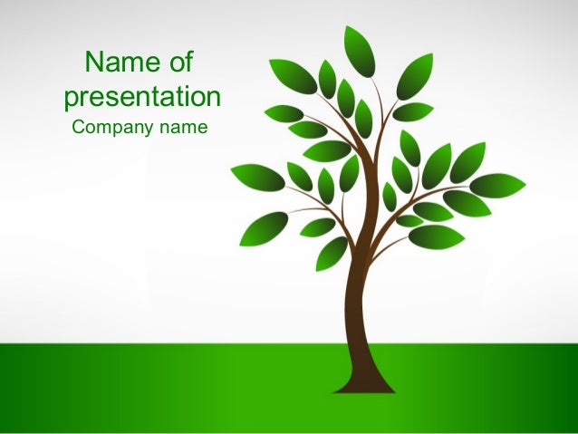 New Tree PowerPoint Template whiteboard freeforums org