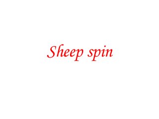 Sheep spin
 