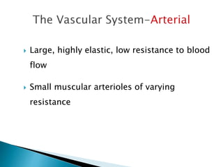  Large, highly elastic, low resistance to blood 
flow 
 Small muscular arterioles of varying 
resistance 
 
