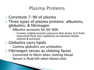  Constitute 7-9% of plasma 
 Three types of plasma proteins: albumins, 
globulins, & fibrinogen 
◦ Albumin accounts for 60-80% 
 Creates colloid osmotic pressure that draws H20 from 
interstitial fluid into capillaries to maintain blood 
volume & pressure 
 Globulins carry lipids 
◦ Gamma globulins are antibodies 
 Fibrinogen serves as clotting factor 
◦ Converted to fibrin when clotting blood 
◦ Serum is fluid left when blood clots 
 