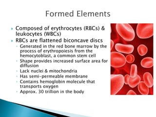  Composed of erythrocytes (RBCs) & 
leukocytes (WBCs) 
 RBCs are flattened biconcave discs 
◦ Generated in the red bone marrow by the 
process of erythropoiesis from the 
hemocytoblast, a common stem cell 
◦ Shape provides increased surface area for 
diffusion 
◦ Lack nuclei & mitochondria 
◦ Has semi-permeable membrane 
◦ Contains hemoglobin molecule that 
transports oxygen 
◦ Approx. 30 trillion in the body 
 