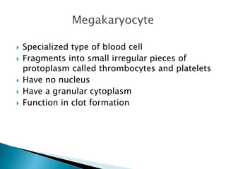  Specialized type of blood cell 
 Fragments into small irregular pieces of 
protoplasm called thrombocytes and platelets 
 Have no nucleus 
 Have a granular cytoplasm 
 Function in clot formation 
 