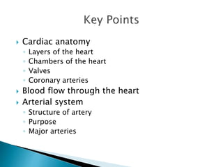  Cardiac anatomy 
◦ Layers of the heart 
◦ Chambers of the heart 
◦ Valves 
◦ Coronary arteries 
 Blood flow through the heart 
 Arterial system 
◦ Structure of artery 
◦ Purpose 
◦ Major arteries 
 