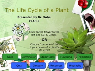 The Life Cycle of a Plant
Presented by Dr. Soha
YEAR 5
Click on the flower to the
left and LET’S GROW!
~~OR~~
Choose from one of the
topics below of a plant’s
life cycle!
Seed Germination Stem/Roots Flowering Pollination
Glossary ResourcesQuiz Biography
 