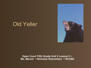 Old Yeller Open Court Fifth Grade Unit 5 Lesson 5    Ms. Mercer    Nicholas Elementary    SCUSD 