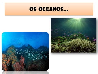 Os oceanos…
 