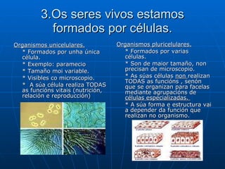 3.Os seres vivos estamos formados por células. Organismos unicelulares.   * Formados por unha única célula. * Exemplo: paramecio  * Tamaño moi variable. * Visibles co microscopio.  *  A súa célula realiza TODAS as funcións vitais (nutrición, relación e reproducción) Organismos pluricelulares. * Formados por varias células.  * Son de maior tamaño, non precisan de microscopio. * As súas células  non  realizan TODAS as funcións , senón que se organizan para facelas mediante agrupacións de  células especializadas.  * A súa forma e estructura vai a depender da función que realizan no organismo. 