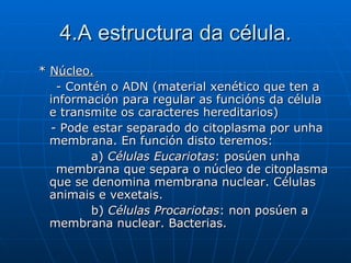 4.A estructura da célula. *  Núcleo. - Contén o ADN (material xenético que ten a información para regular as funcións da célula e transmite os caracteres hereditarios) - Pode estar separado do citoplasma por unha membrana. En función disto teremos: a)  Células Eucariotas : posúen unha  membrana que separa o núcleo de citoplasma que se denomina membrana nuclear. Células animais e vexetais. b)  Células Procariotas : non posúen a membrana nuclear. Bacterias.  