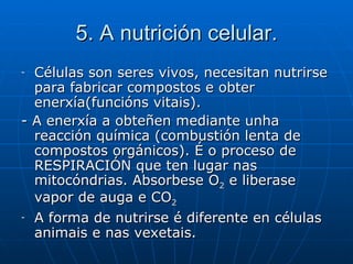 5. A nutrición celular. Células son seres vivos, necesitan nutrirse para fabricar compostos e obter enerxía(funcións vitais). - A enerxía a obteñen mediante unha reacción química (combustión lenta de compostos orgánicos). É o proceso de RESPIRACIÓN que ten lugar nas mitocóndrias. Absorbese O 2  e liberase vapor de auga e CO 2 A forma de nutrirse é diferente en células animais e nas vexetais.  