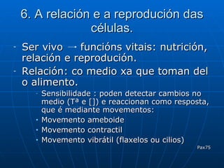 6. A relación e a reprodución das células. Ser vivo  funcións vitais: nutrición, relación e reprodución. Relación: co medio xa que toman del o alimento. Sensibilidade : poden detectar cambios no medio (Tª e []) e reaccionan como resposta, que é mediante movementos: Movemento ameboide Movemento contractil Movemento vibrátil (flaxelos ou cilios) Pax75 