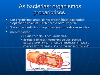 As bacterias: organismos procarióticos. Son organismos unicelulares procarióticos que poden atoparse en colonias. Pertencen o reiro Monera. Son moi abundantes e reprodúcense en todos os medios. Características : Forma variable.- Cocos ou bacilos. Estrutura sinxela.- membrana celular, parede bacteriana externa, non posúen membrana nuclear, carecen de orgánulos e son de tamaño moi reducido .  