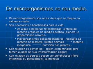 Os microorganismos no seu medio. Os microorganismos son seres vivos que se atopan en calquera medio.  Son necesarios e beneficiosos para a vida. As algas e bacterias fotosintéticas: sintese de materia orgánica no medio acuático (plancto) e proporcionan osíxeno. Microorganismos descompoñedores: reciclaxe da materia na biosfera. Restos animais  materia inorgánica  nutrición das plantas… Con relación os alimentos : poden contaminalos pero tamén axudar na súa transformación (iogur) Con relación as persoas poden ser beneficiosos (flora intestinal) ou perxudiciais (salmonela) 