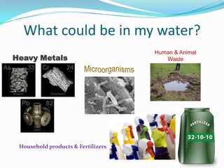 What could be in my water?
Heavy Metals
Human & Animal
Waste
Household products & Fertilizers
 